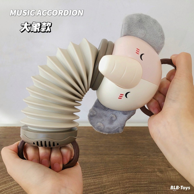 Bebê Música Acordeão Instrumento Brinquedo Educação Infantil - Imagem 13