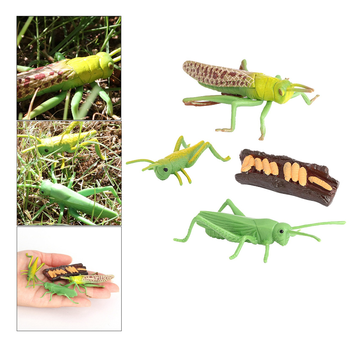 Figuras De Crescimento Do Gafanhoto Da Natureza Plástica, - Imagem 5
