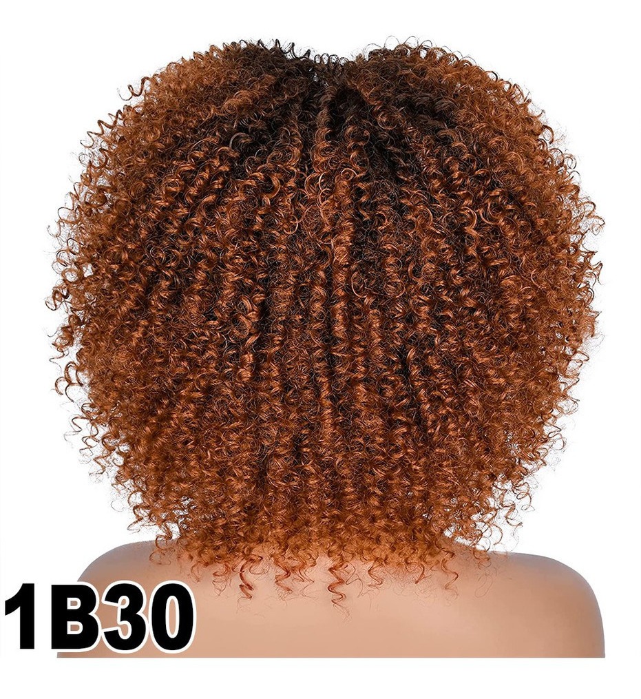 Peruca Peruca Afro Cacheada Para Uso Diario - Imagem 16