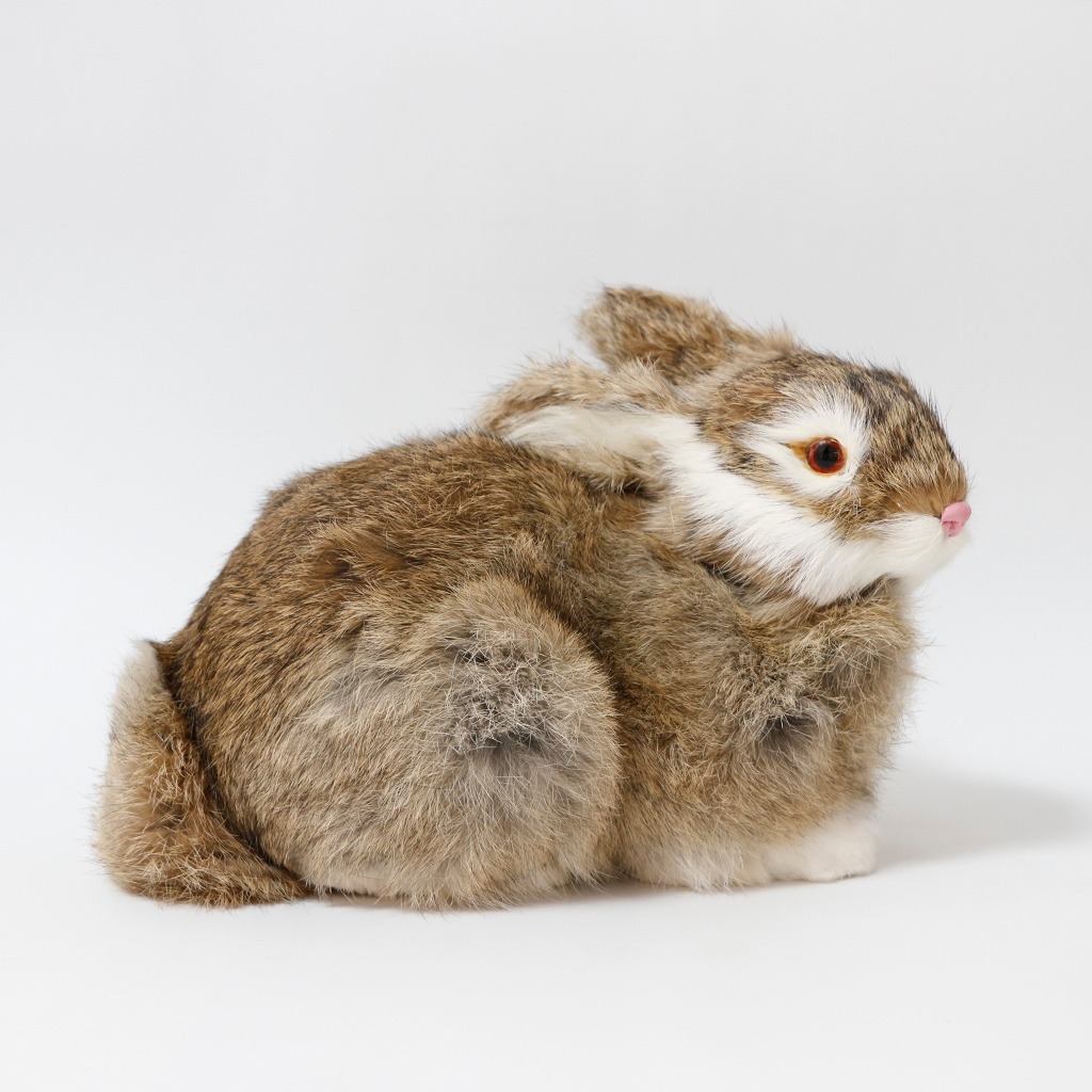 Pelúcia De Coelhos Realistas Modelo De Simulação 22cm - Imagem 22