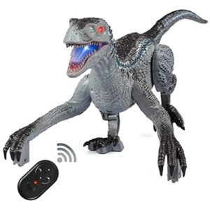 Brinquedo Pecmpo Dinosaur Rc Kidsvelociraptor