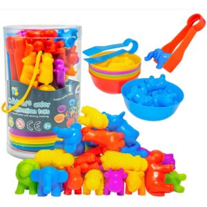 Contando Brinquedo Educativo Montessori De Classificação De