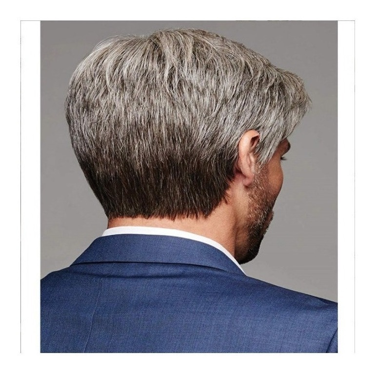 Cabelos Lisos Castanhos Grisalho Inclinados Peruca Masculina - Imagem 5