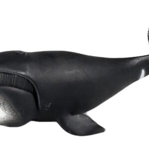 Enfeites De Baleia-cabeça-do-mato Baleia-cabeça-do-mato