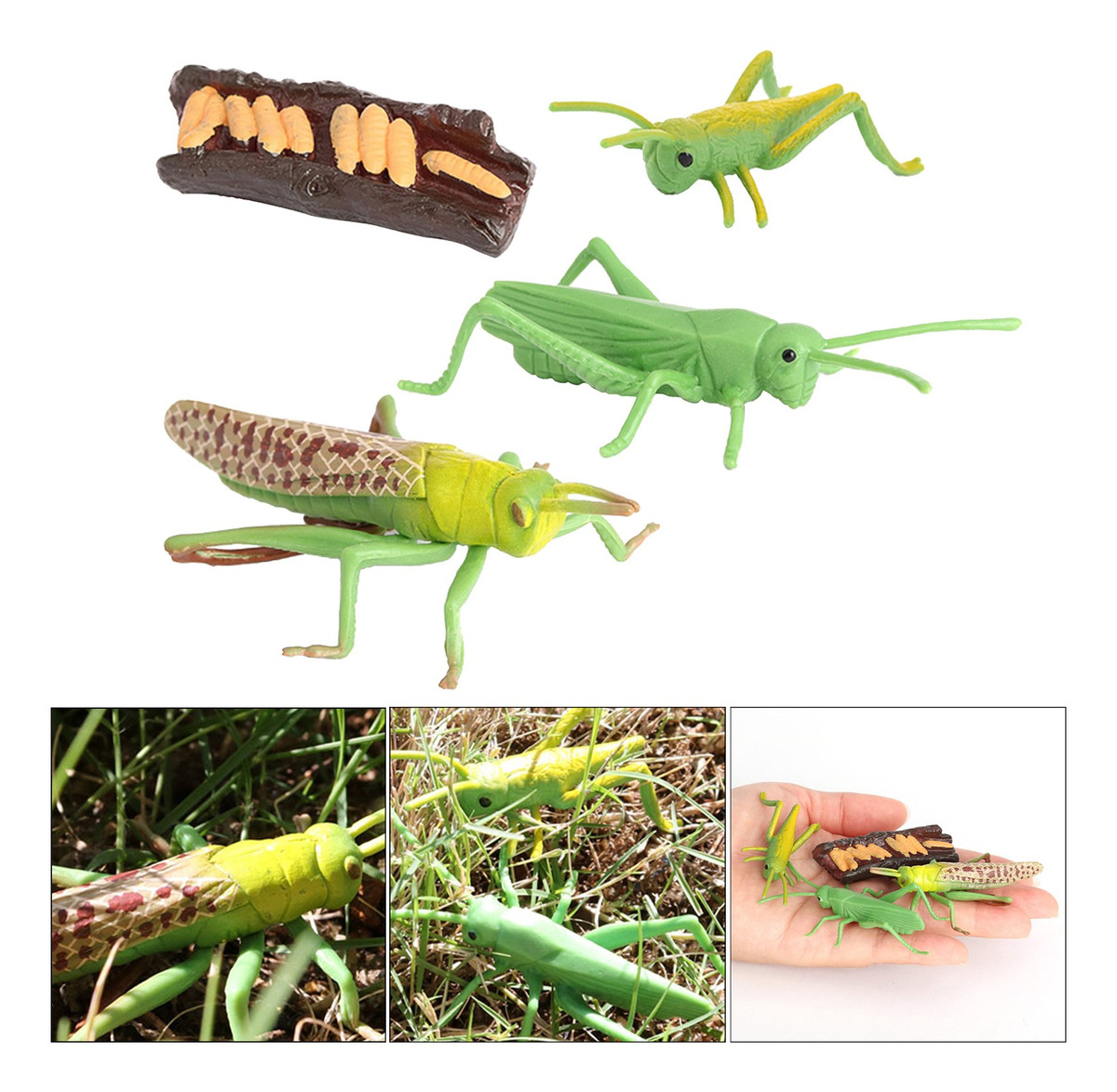 Figuras De Crescimento Do Gafanhoto Da Natureza Plástica, - Imagem 4