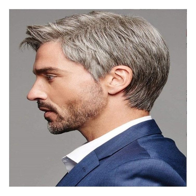 Peruca Masculina Inclinada Castanha Cinza De Cabelo Liso - Imagem 3