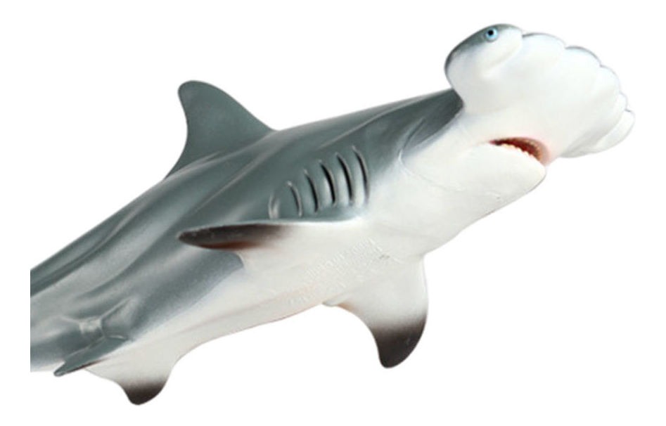 Ornamentos De Modelo De Tubarão Brinquedo Tubarão Martelo - Imagem 9