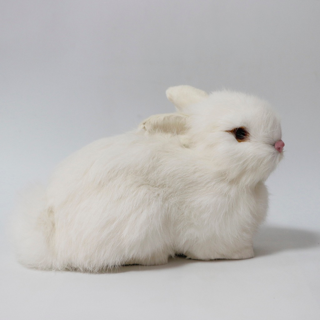 Pelúcia De Coelhos Realistas Modelo De Simulação 22cm - Imagem 2