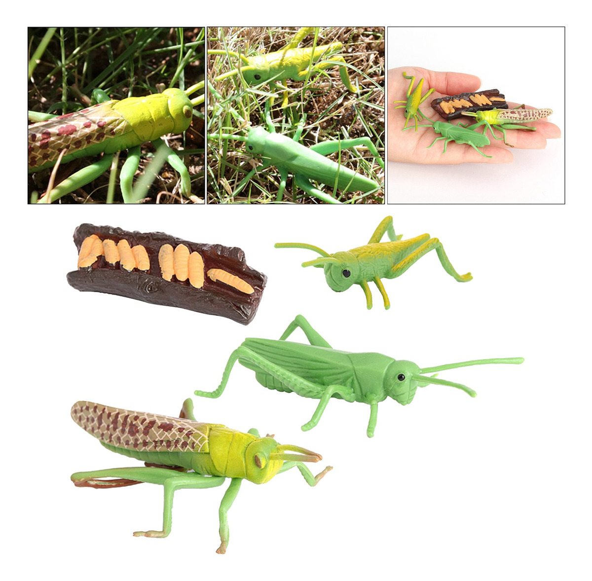 Figuras De Crescimento Do Gafanhoto Da Natureza Plástica, - Imagem 3