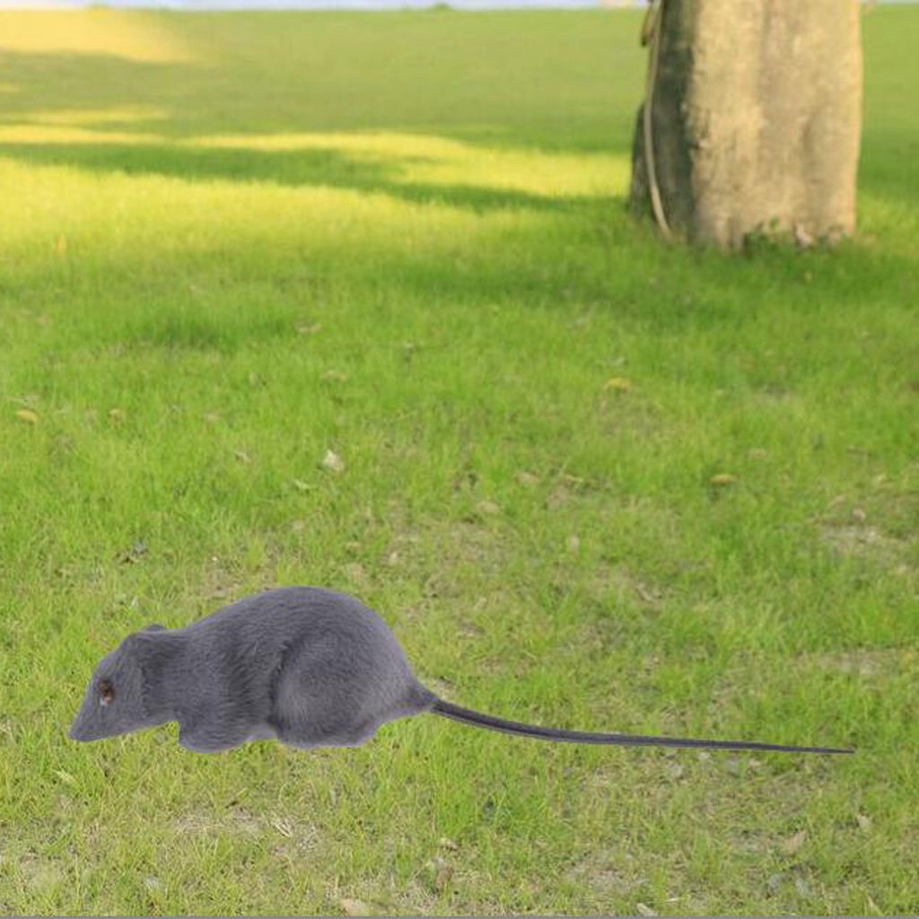 Rato Realista Pele Falsa - Imagem 3