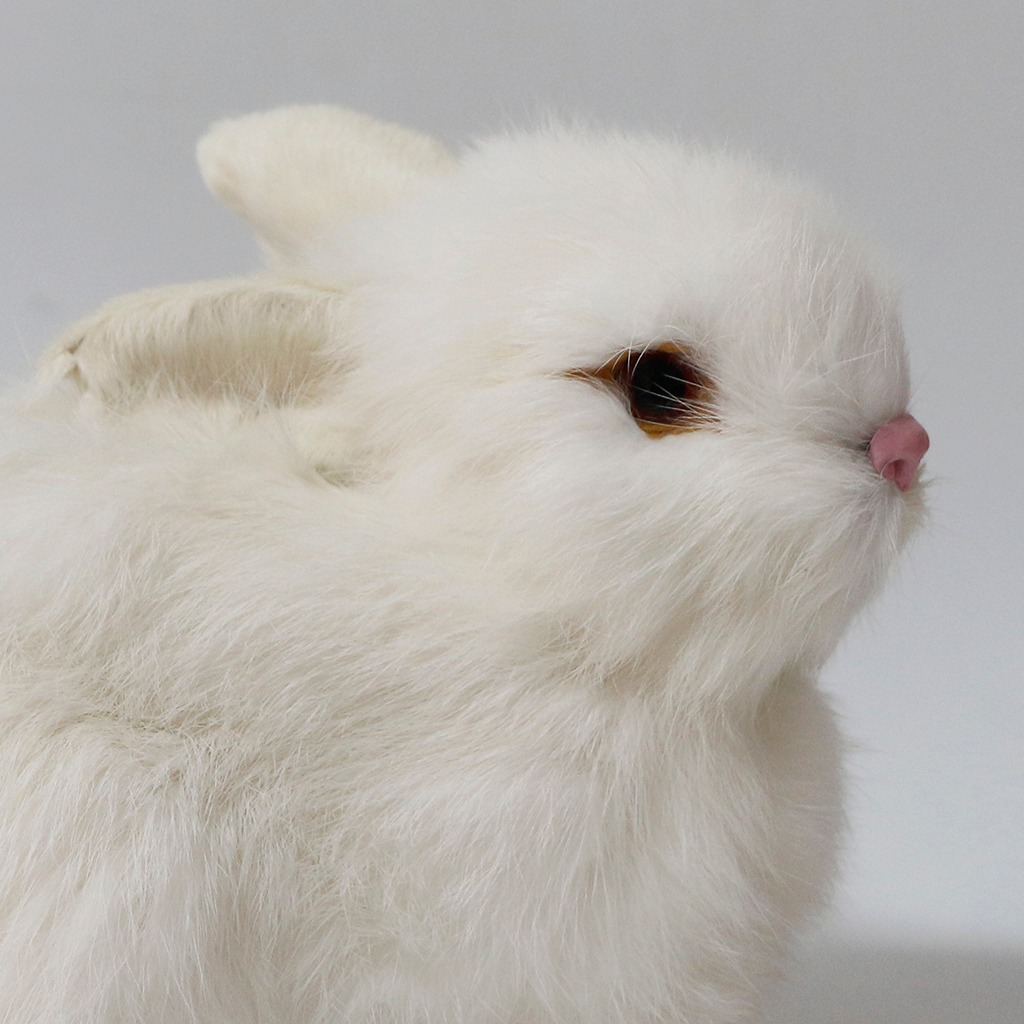 Pelúcia De Coelhos Realistas Modelo De Simulação 22cm - Imagem 9