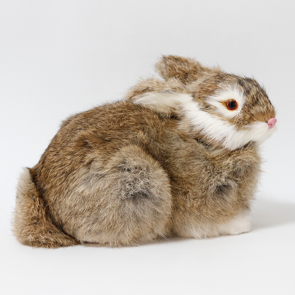 Pelúcia De Coelhos Realistas Modelo De Simulação 22cm - Imagem 28