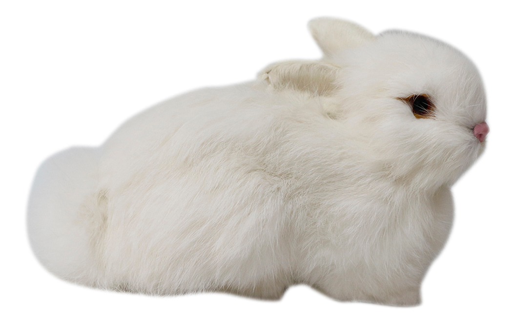 Pelúcia De Coelhos Realistas Modelo De Simulação 22cm - Imagem 7