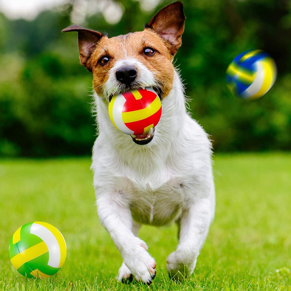 12 Peças De Mini Bolas De Estresse De Voleibol, Espuma, Espo - Imagem 3
