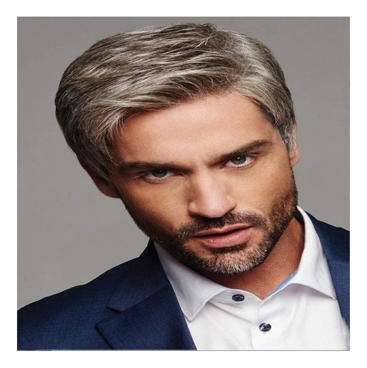 Peruca Masculina Inclinada Castanha Cinza De Cabelo Liso - Imagem 2
