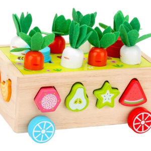 Brinquedos Montessori Shape Sorter Jogo De Colheita De