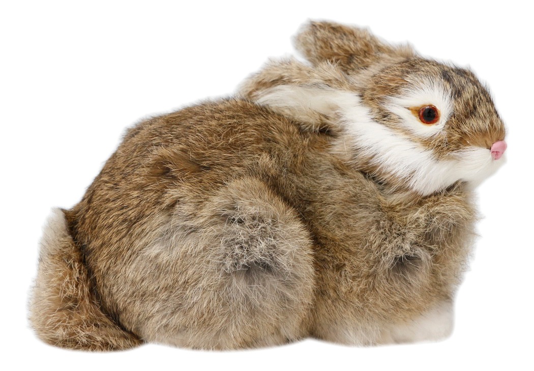 Pelúcia De Coelhos Realistas Modelo De Simulação 22cm - Imagem 24