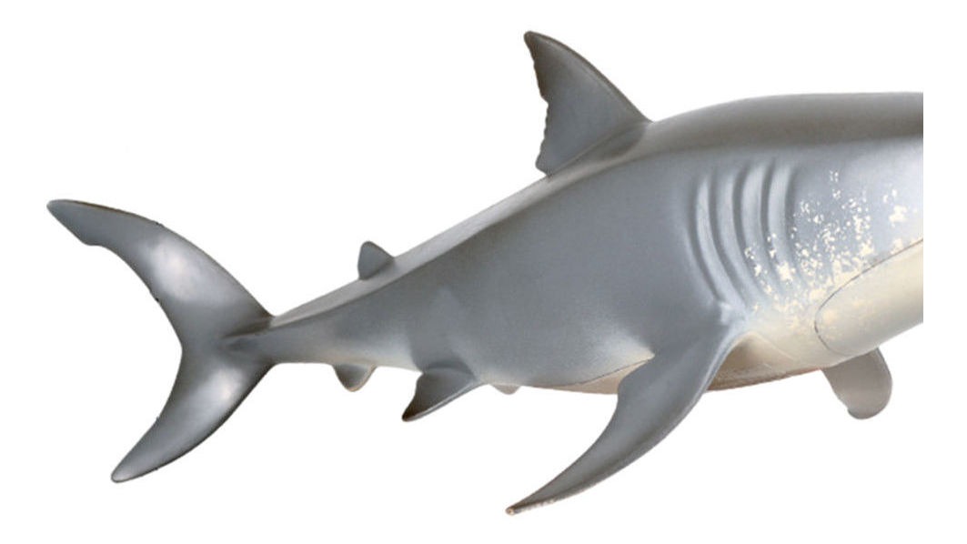 Ornamentos De Modelo De Tubarão Brinquedo Tubarão Branco - Imagem 9