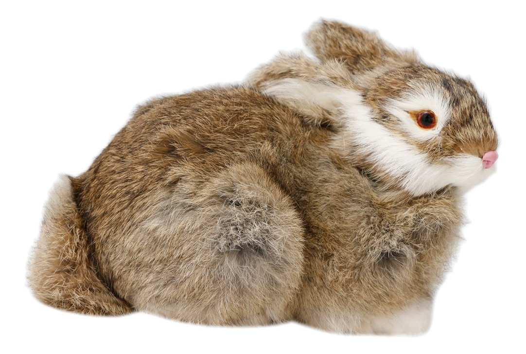 Pelúcia De Coelhos Realistas Modelo De Simulação 22cm - Imagem 27