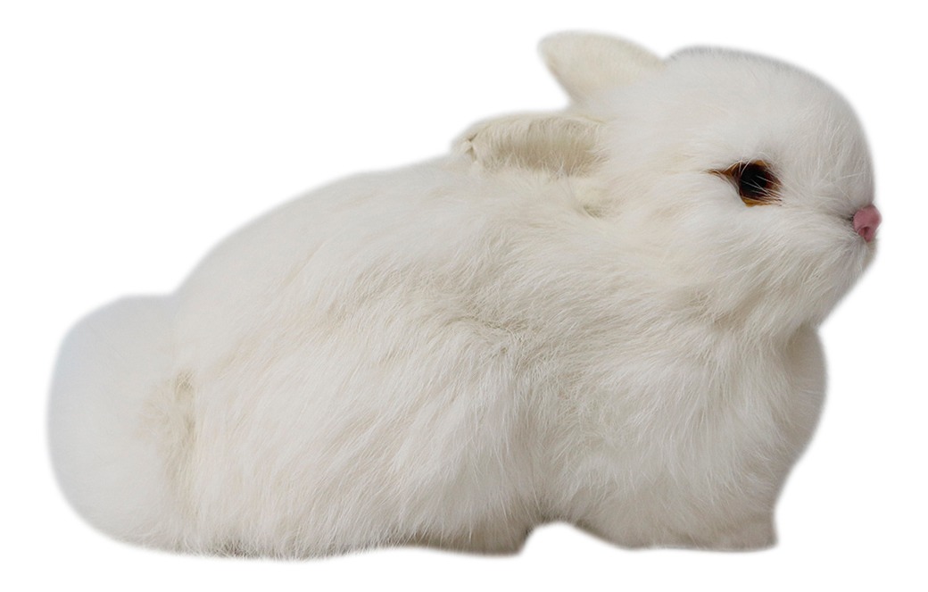 Pelúcia De Coelhos Realistas Modelo De Simulação 22cm - Imagem 5