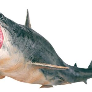 Grandes Brinquedos De Tubarão Megalodon Plástico Sortido Oce