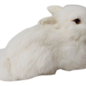 Pelúcia De Coelhos Realistas Modelo De Simulação 22cm