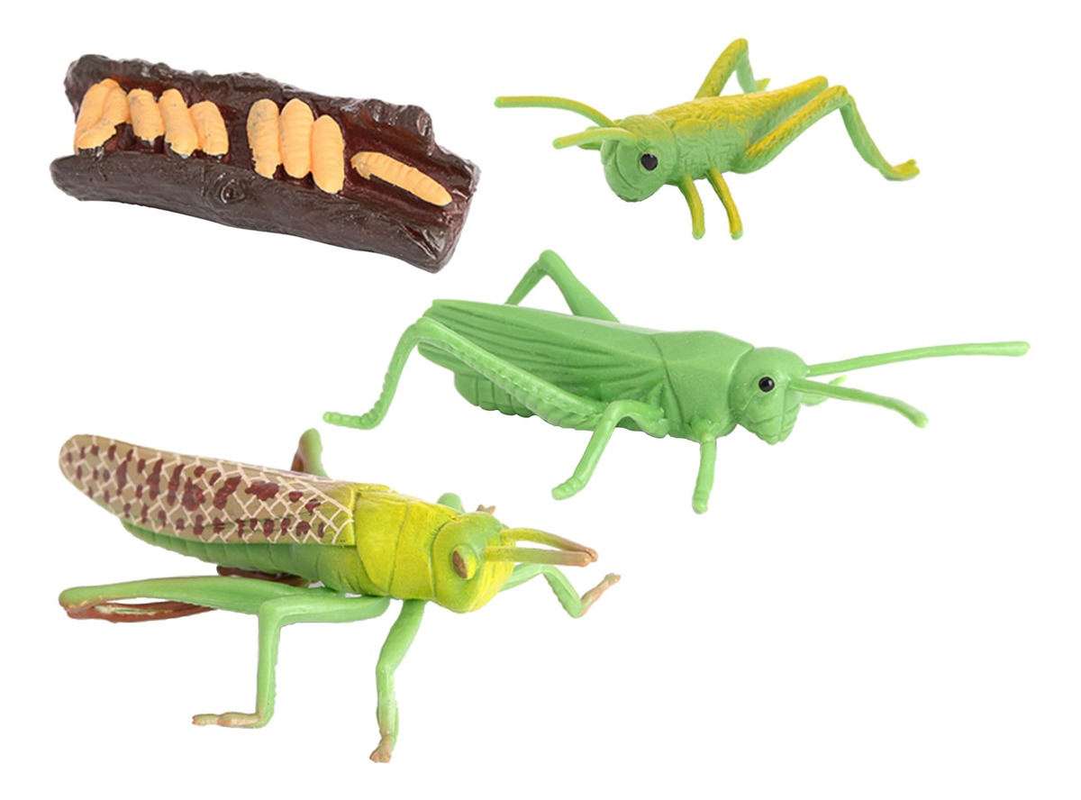 Figuras De Crescimento Do Gafanhoto Da Natureza Plástica,