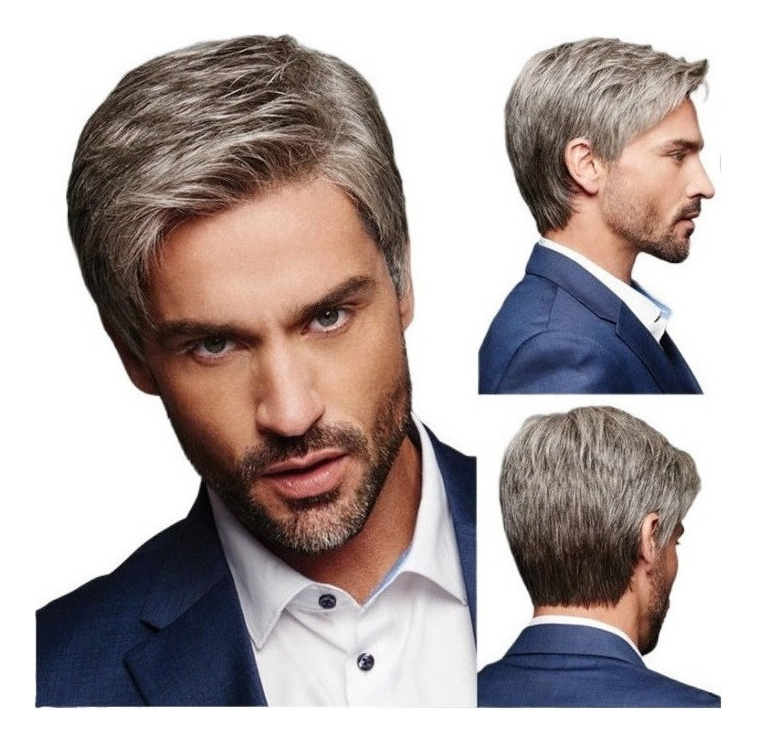 Peruca Masculina Inclinada Castanha Cinza De Cabelo Liso