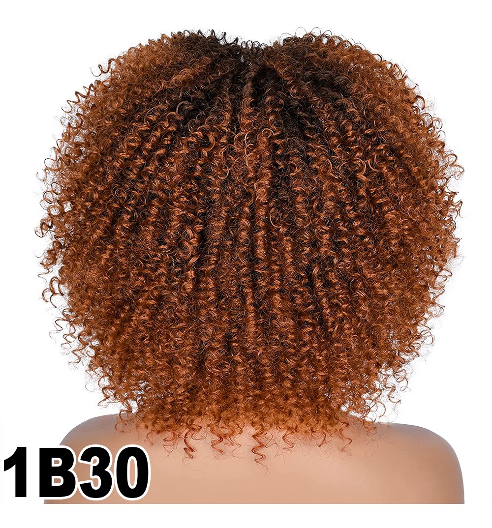 Afro Cabelo Sintético Mulheres Perucas Curtas Encaracoladas - Imagem 6