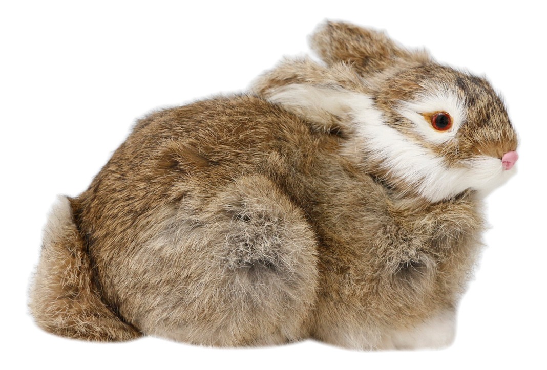 Pelúcia De Coelhos Realistas Modelo De Simulação 22cm - Imagem 25