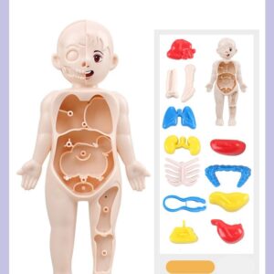 Brinquedos De Quebra-cabeça Corporal Infantil 14 Itens