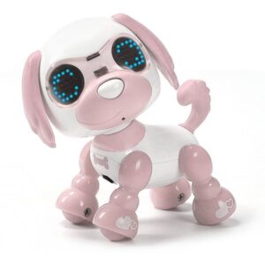 Máquina Educacional Inteligente Para Crianças Para Cães De E