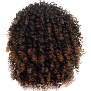Hort Afro Encaracolado Mix Peruca De Cabelo Cinza Com Franja