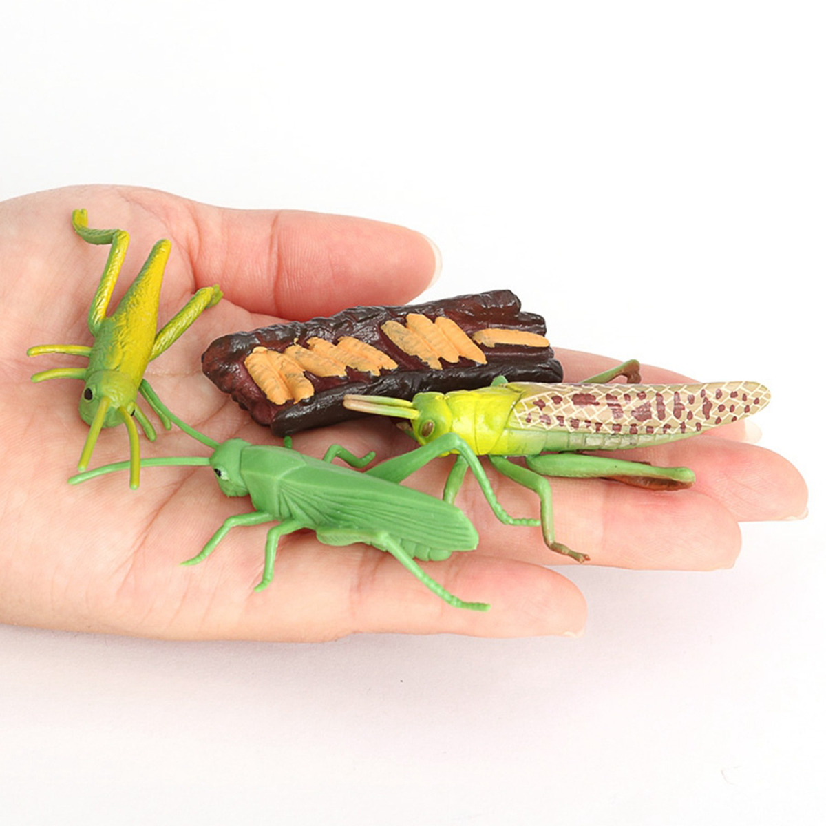 Figuras De Crescimento Do Gafanhoto Da Natureza Plástica, - Imagem 2