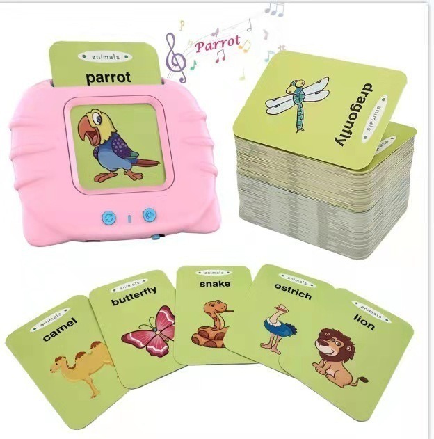 Cardkids Educacional Aprender Inglês 224 Palavras Infantil - Imagem 8