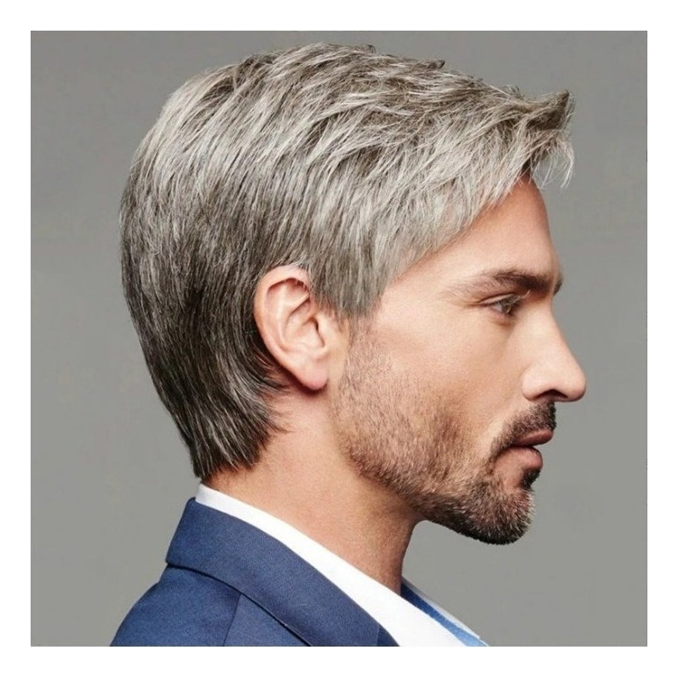 Peruca Masculina Inclinada Castanha Cinza De Cabelo Liso - Imagem 4
