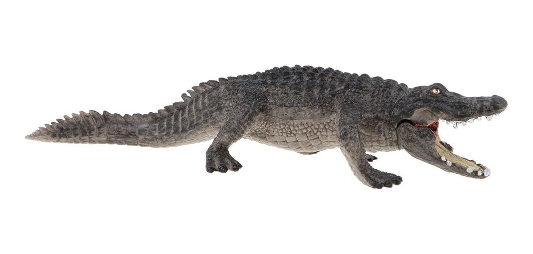 Brinquedos Educativos Infantis Para A Natureza - Imagem 7