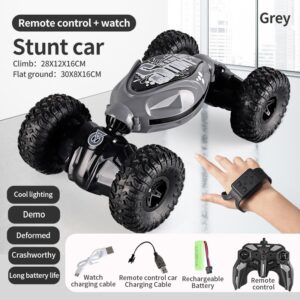Veículo Elétrico Rc De Duplo Controle Com Roda De Acrobacias