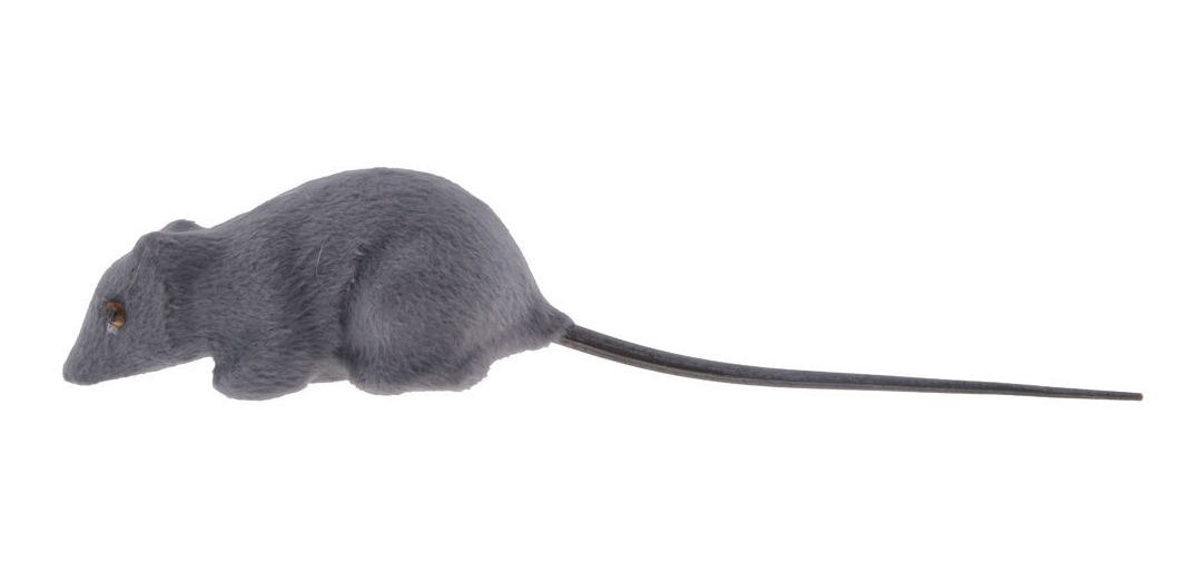 Rato Realista Pele Falsa - Imagem 2