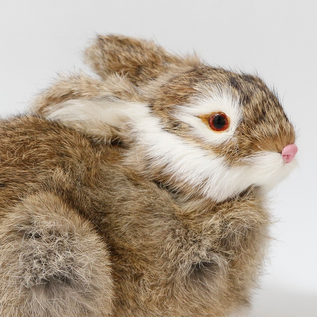 Pelúcia De Coelhos Realistas Modelo De Simulação 22cm - Imagem 29