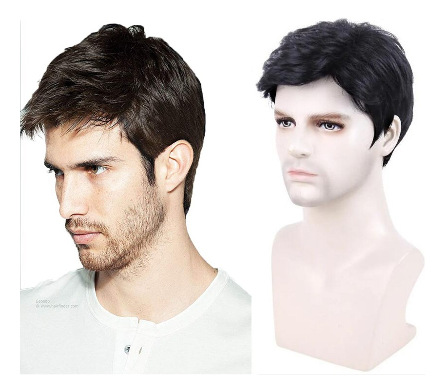 Peruca Masculina Curta, Cabelo Liso, Perucas Sintéticas, Fre