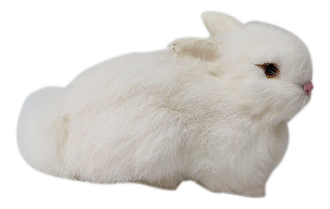Pelúcia De Coelhos Realistas Modelo De Simulação 22cm - Imagem 6