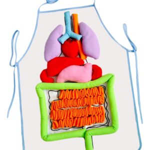 Avental De Pelúcia Órgão Humano Impressão Cedo Brinquedo Edu