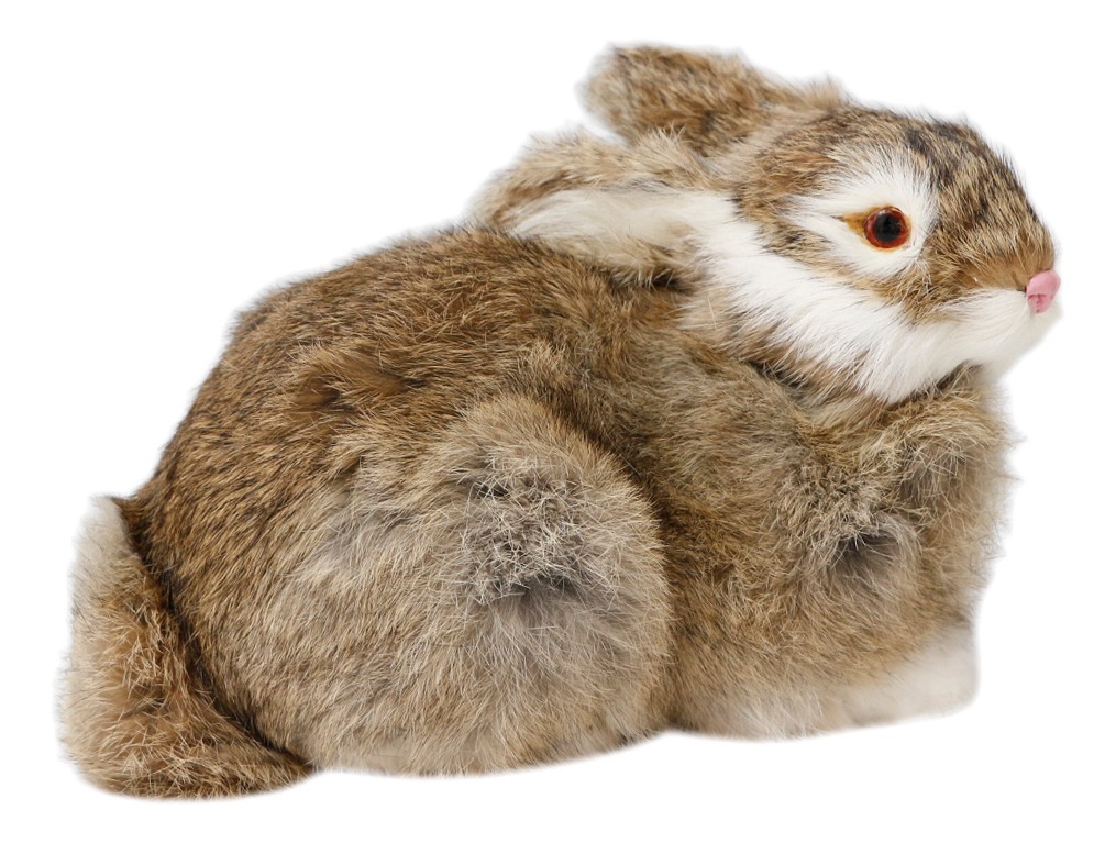 Pelúcia De Coelhos Realistas Modelo De Simulação 22cm - Imagem 21