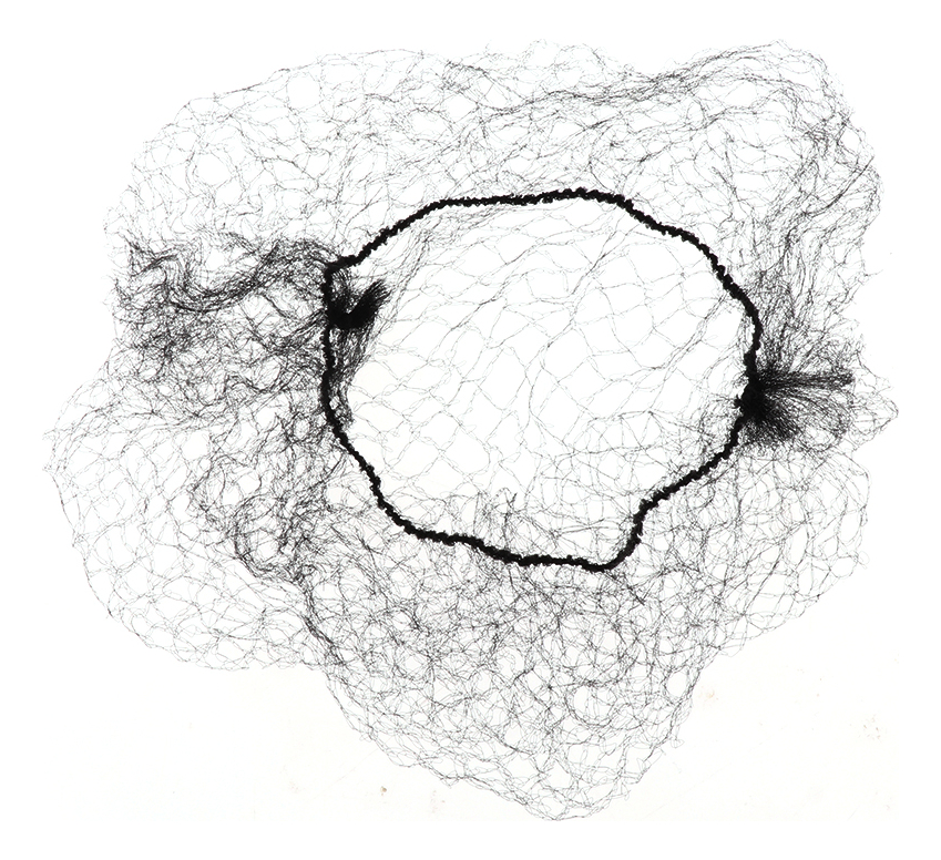 Rede De Peruca De Malha Fina Invisible Hair Nets Bun Coverne - Imagem 13