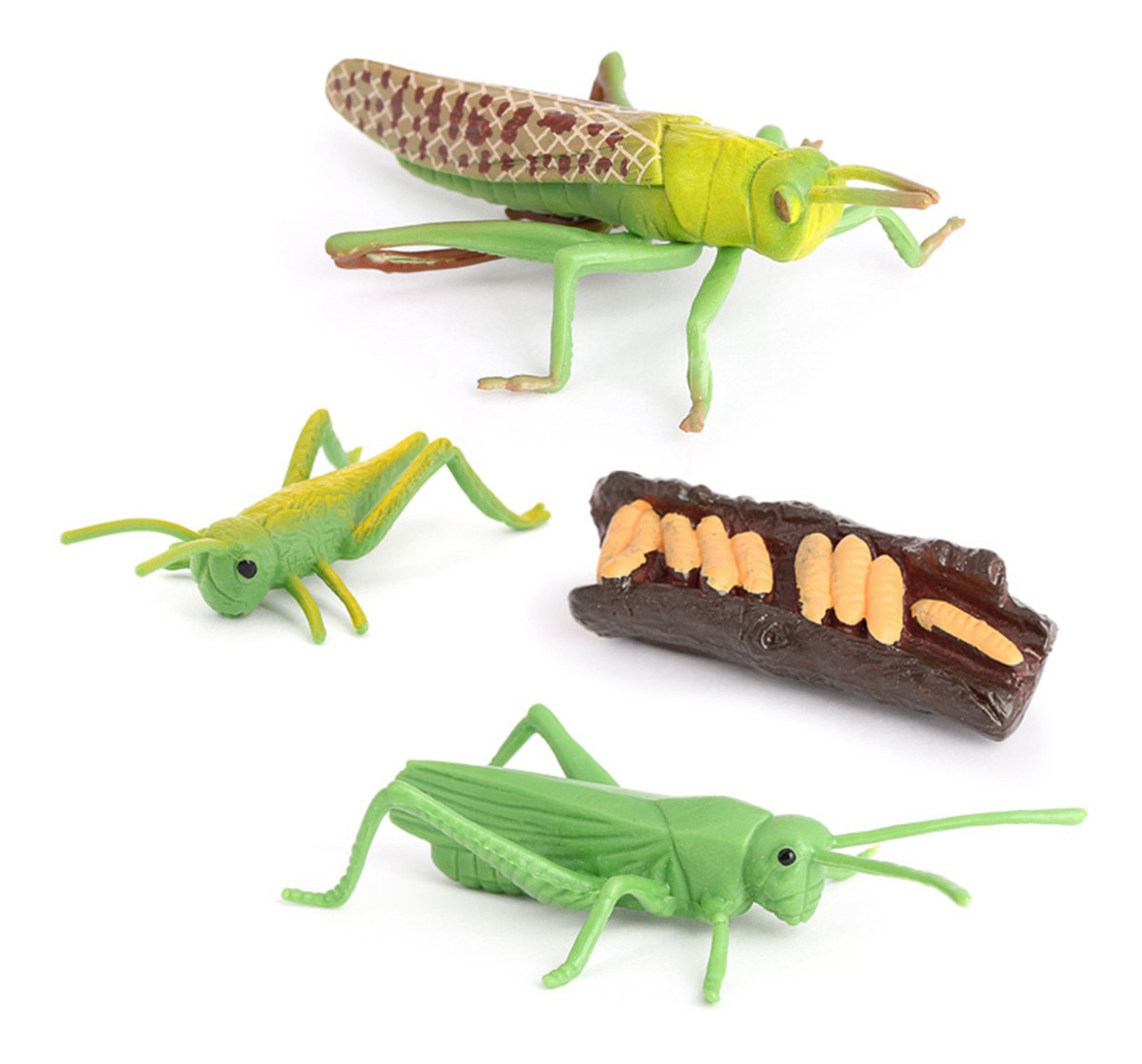 Figuras De Crescimento Do Gafanhoto Da Natureza Plástica, - Imagem 8