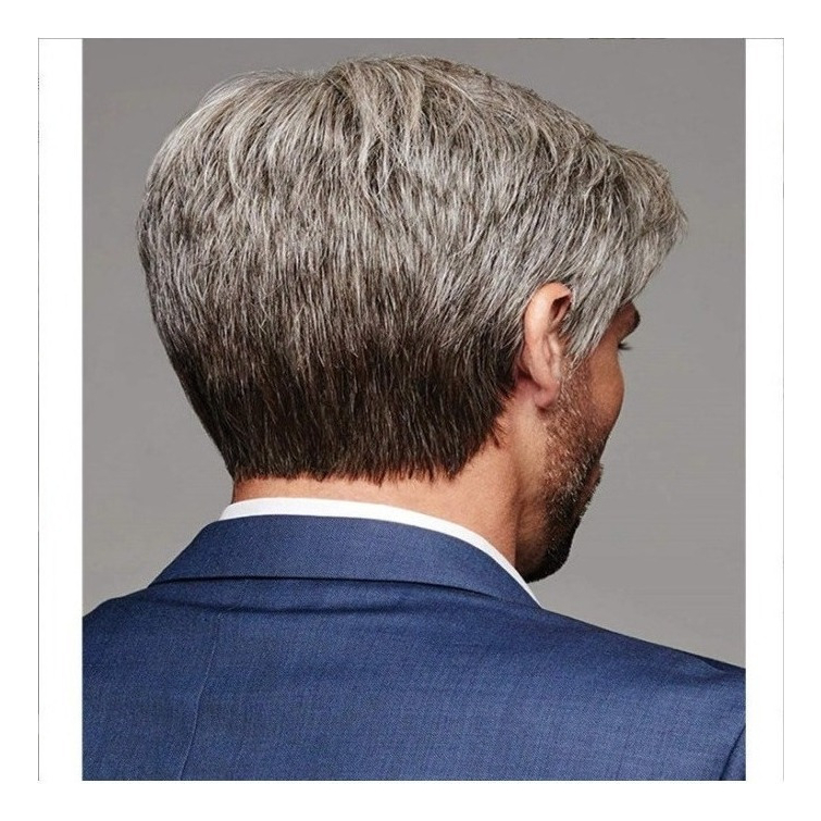 Peruca Masculina Inclinada Castanha Cinza De Cabelo Liso - Imagem 5