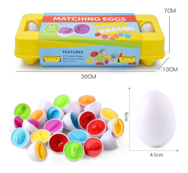 Jogo com caixa de ovo, Brinquedo DIY