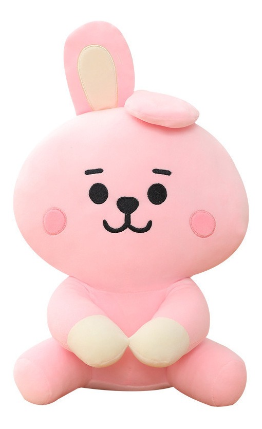 Boneca Kpop Brinquedo De Pelúcia Presente Infantil - Imagem 2