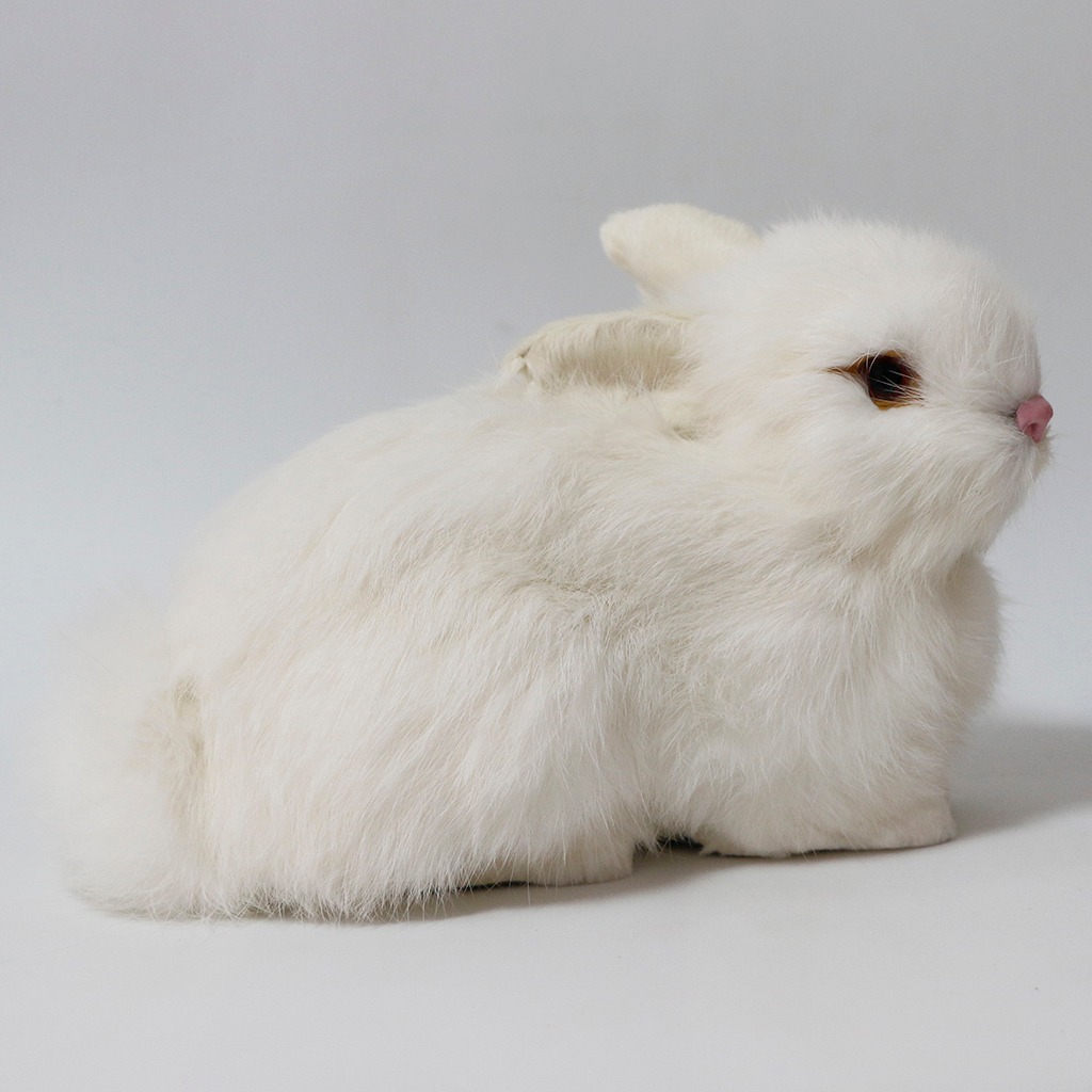Pelúcia De Coelhos Realistas Modelo De Simulação 22cm - Imagem 8
